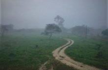 frio são joão